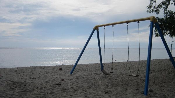 Si Cantik Maluk yang Pemalu di Sumbawa Barat