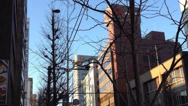 Siang atau Malam, Tokyo Tetap Meriah