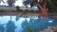 Siapa Sangka, Ada Danau Sebiru Ini di Gresik