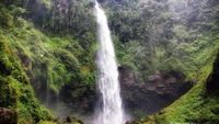 Siapa Sangka, Purwokerto Punya Air Terjun Secantik Ini