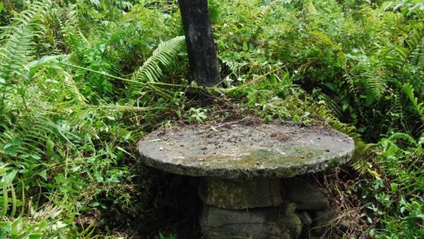 Situs Megalitikum VS Ilalang