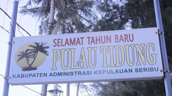 Snorkeling Bareng Ikan Cantik di Pulau Tidung