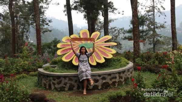 Spot Foto Kekinian di Dekat Solo