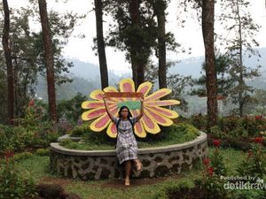 Spot Foto Kekinian di Dekat Solo