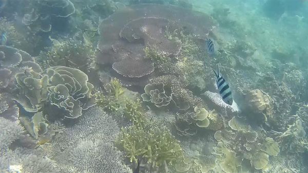 Spot Keren Buat Snorkeling di Belitung