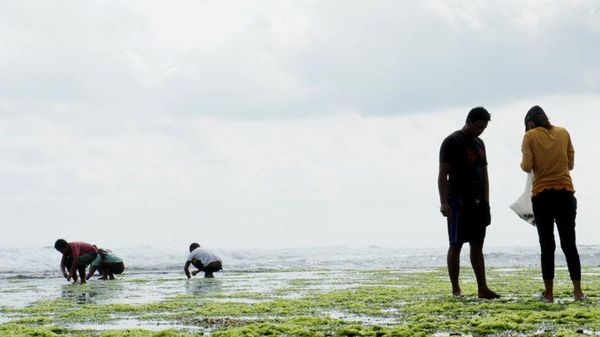 Ssst! Pantai di DI Yogyakarta, Serasa Kuta Saat Masih Perawan
