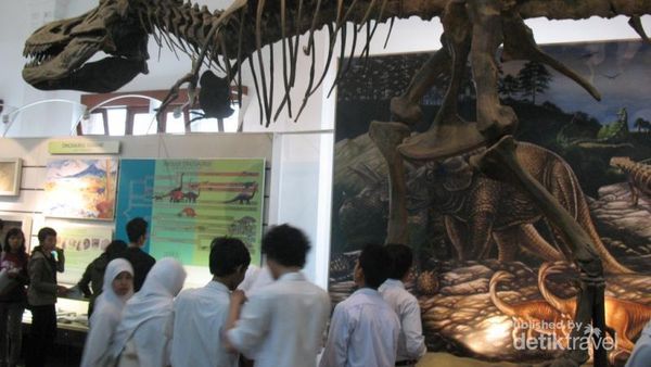 Sst, Bisa Lihat Tulang Gajah Purba di Museum Ini