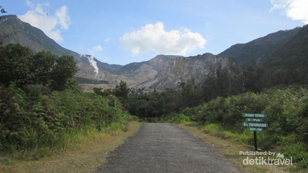 Suasana Ala Afrika di Gunung Pandayan