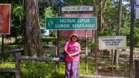 Sudah Tahu Indahnya Hutan Lipur Lubok Semilang di Langkawi?