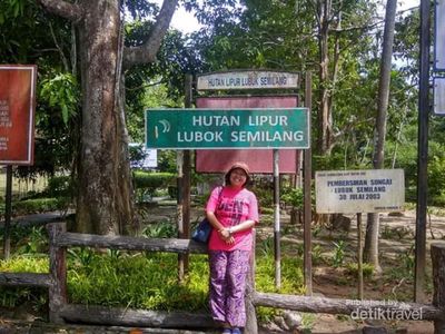 Sudah Tahu Indahnya Hutan Lipur Lubok Semilang di Langkawi?