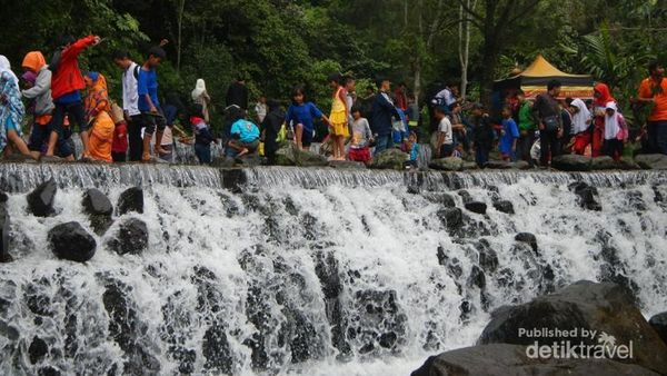 Sudut-sudut Cantik Kebun Raya Cibodas