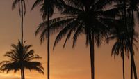 Sunset Cantik di Aceh Barat, yang Dulu Bekas Tsunami Dahsyat