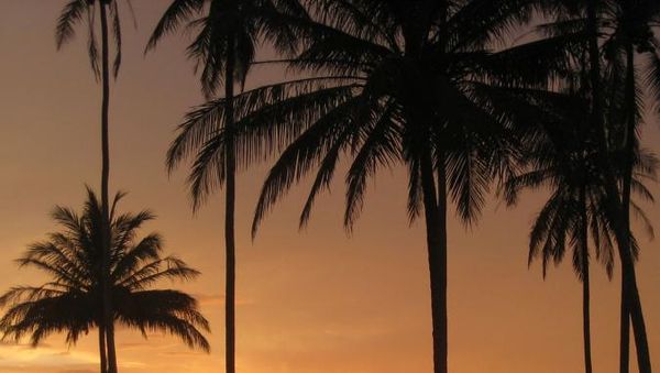 Sunset Cantik di Aceh Barat, yang Dulu Bekas Tsunami Dahsyat