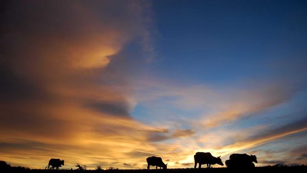 Sunset di Pulau Breueh