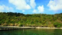 Surga di Alam Bawah Laut Pantai Bonetapalang, Sulsel