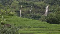 Susuri Pangandaran Demi Pantai Indah Lainnya