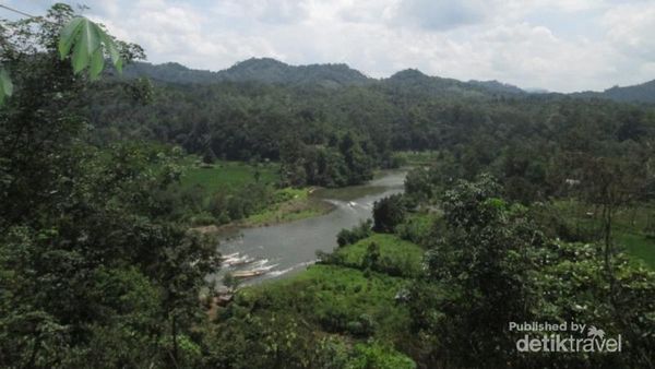 Syahdunya Alam Hijau Jangkat di Jambi