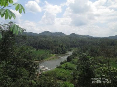 Syahdunya Alam Hijau Jangkat di Jambi