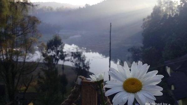 Syahdunya Ranu Pani di Kaki Gunung Semeru