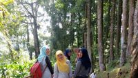Tak Cuma Bogor, Baturraden Juga Punya Kebun Raya