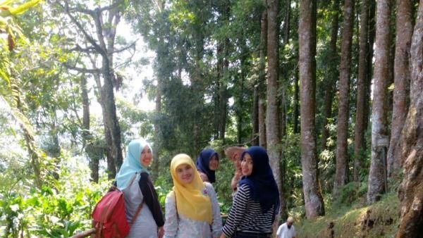 Tak Cuma Bogor, Baturraden Juga Punya Kebun Raya