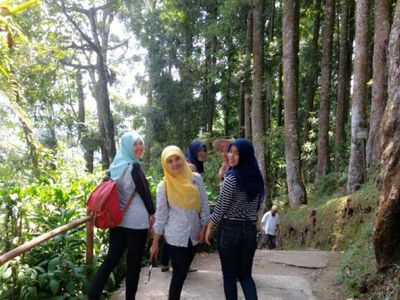 Tak Cuma Bogor, Baturraden Juga Punya Kebun Raya