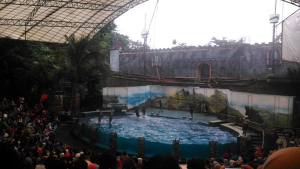 Tak Cuma di Bogor, Taman Safari yang Keren Juga Ada di Prigen