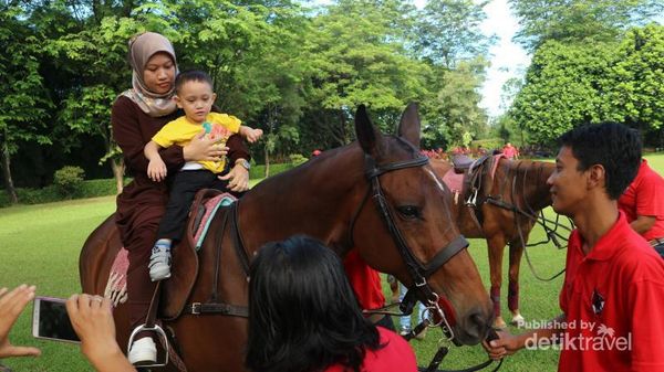 Tak Perlu ke Bandung, Cibinong Juga Punya Wisata Kuda