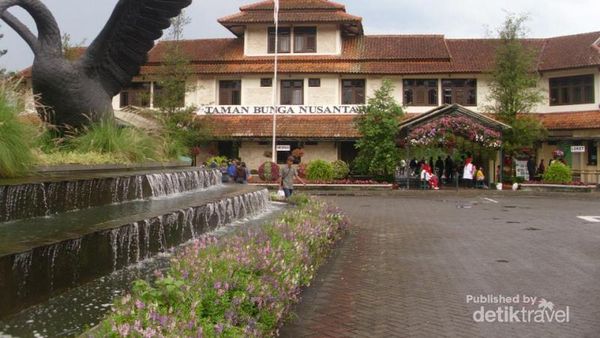 Tak Usah ke Belanda, Ada Taman Bunga Nusantara di Cipanas