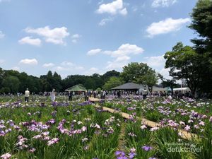 Taman Bunga Bagai Lukisan di Tokyo