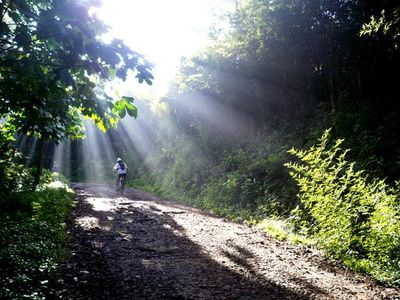 Taman Ir H Djuanda, yang Segar-segar di Bandung Utara