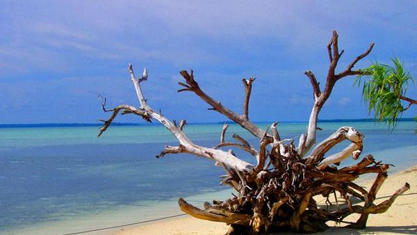 Taman Laut Kepulauan Padaido, Biak: Penuh Kejutan!