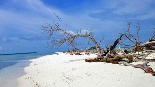 Taman Laut Teluk Cenderawasih, Papua