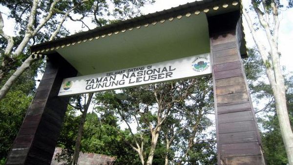 Taman Nasional Gunung Leuser Taman Nasional Gunung Leuser