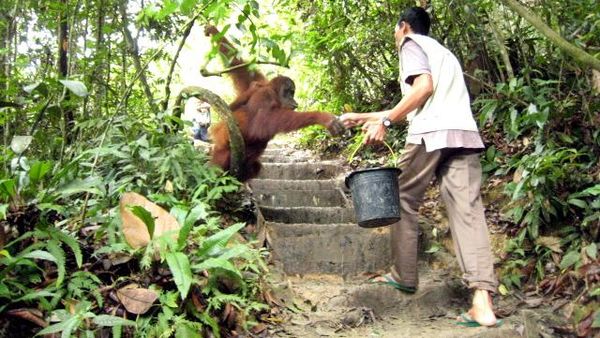 Taman Nasional Gunung Leuser