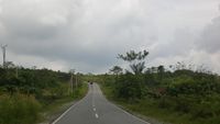 Taman Nasional Kutai Punya Pohon Usia 1.000 Tahun