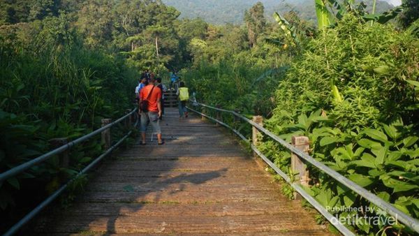 Tanjakan Setan yang Menantang di Gunung Gede