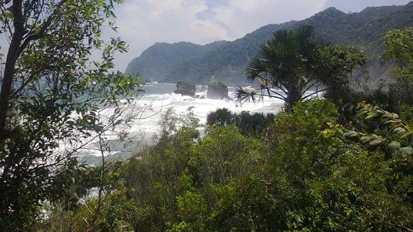 Tanjung Papuma, Pantai dengan Karang Eksotis di Jember, Jatim