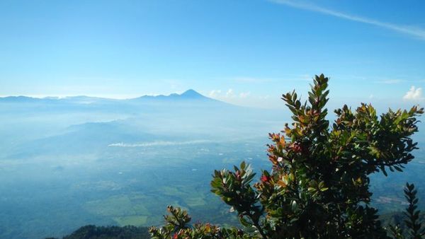 Tantangan Berat Mendaki Gunung Arjuno Lewat Alas Lali Jiwo