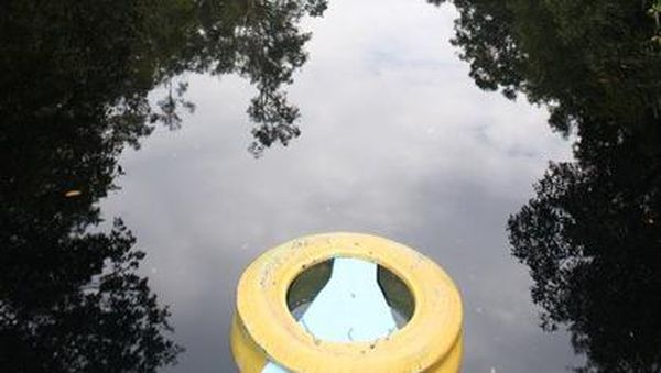 Tapak Tilas Petualang ACI  Menjelajahi Tanjung Puting