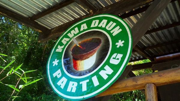 Teh dari Daun Kopi, Cuma di Ngarai Sianok