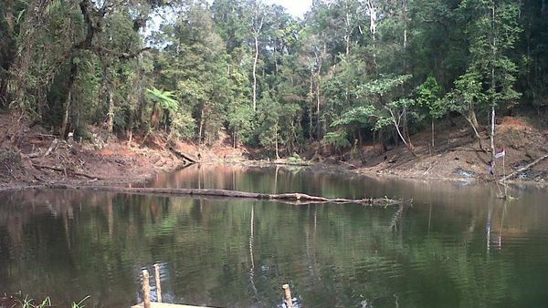 Telaga Misterius di Tengah Hutan Lindung Cianjur