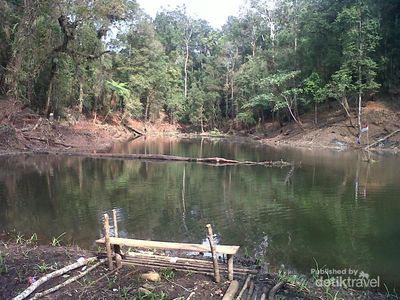 Telaga Misterius di Tengah Hutan Lindung Cianjur