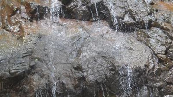 Teluk Hijau, Pantai Tersembunyi di Banyuwangi