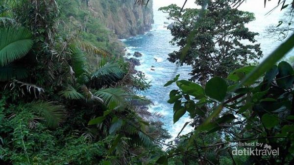 Teluk Hijau, Surga Tersembunyi di Banyuwangi