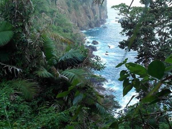 Teluk Hijau, Surga Tersembunyi di Banyuwangi