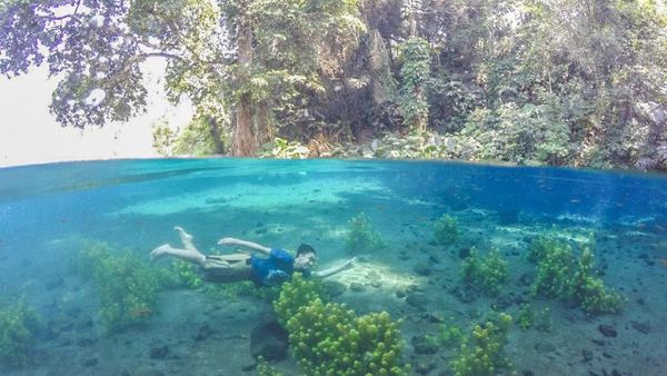 Tempat Berenang Paling Biru dan Paling Jernih di Malang
