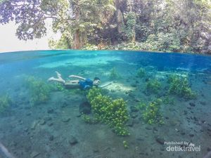 Tempat Berenang Paling Biru dan Paling Jernih di Malang