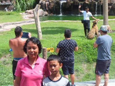 Tempat Melihat Kuda Nil dan Harimau Sumatera di Bali