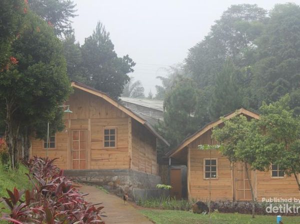 Tempat Outbound Seru di Bogor, Richie the Farmer